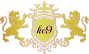kc9-ทางเข้า-logo
